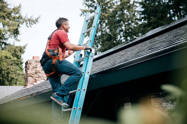 Best Roof Moss and Algae Removal  in Orange, OH